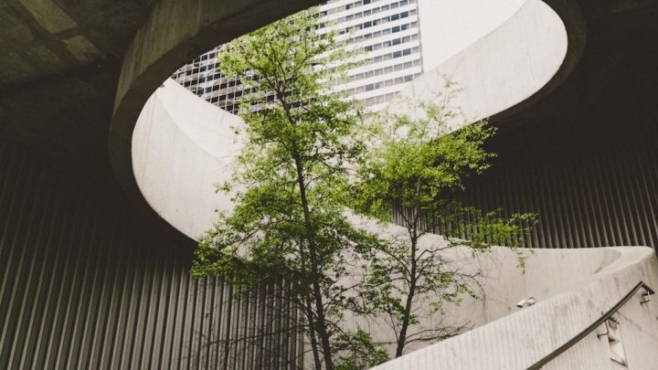 A green tree stands under a round opening in concrete, with a modern building and green fleet management in the background.
