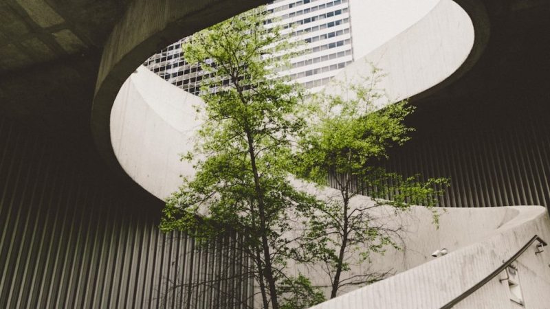 A green tree stands under a round opening in concrete, with a modern building and green fleet management in the background.